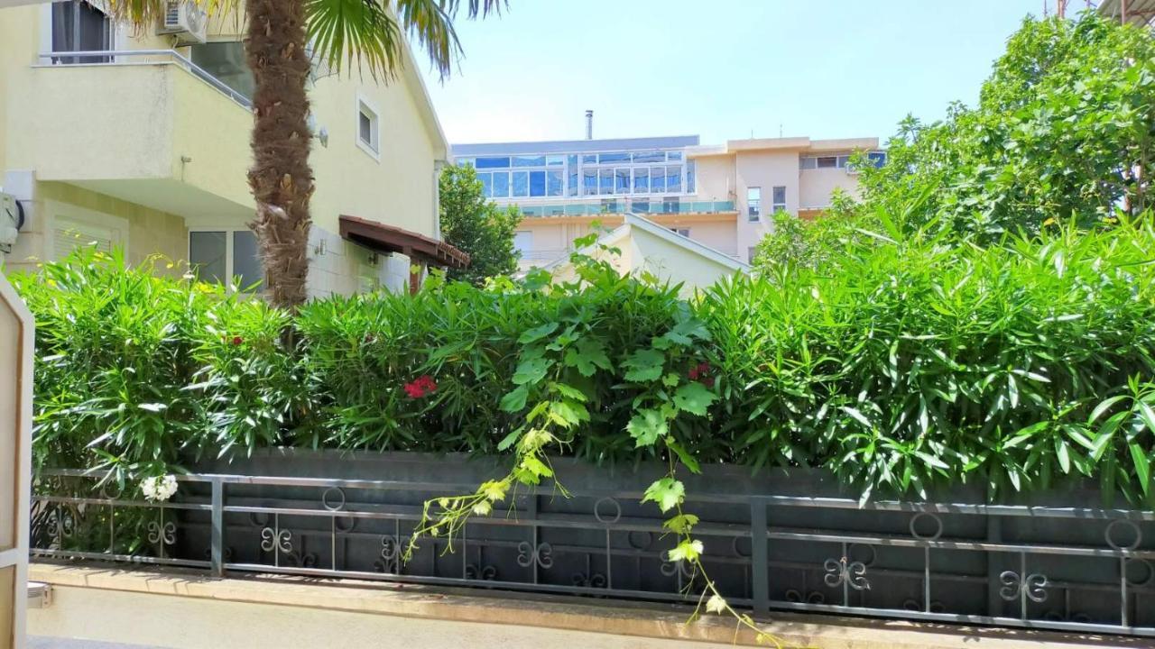 Guesthouse Tri Palme Bečići المظهر الخارجي الصورة